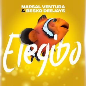 image-media